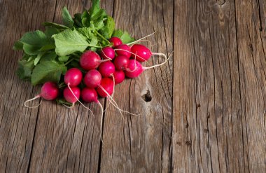 Bahçe kırmızı turp