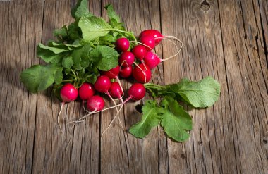 Taze turp yakın çekim