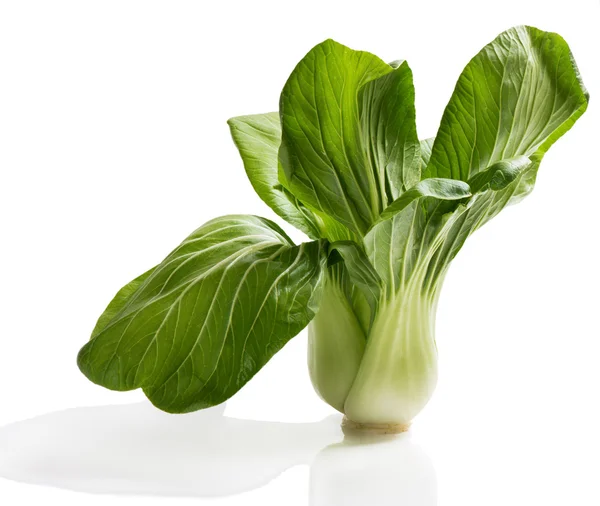 Asijské zelené listové zeleniny - Bok Choy — Stock fotografie