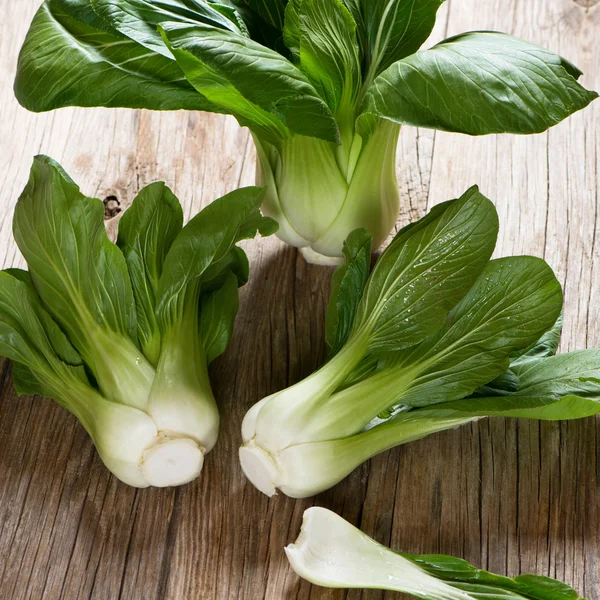 Pak Choi - Çin lahanası — Stok fotoğraf