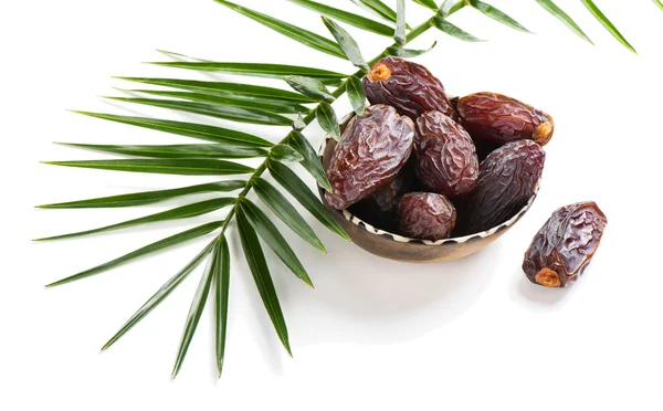 Dates Medjool close up — Stock Photo, Image