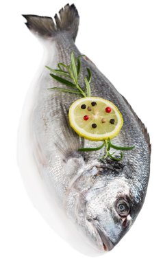 taze dorada balık