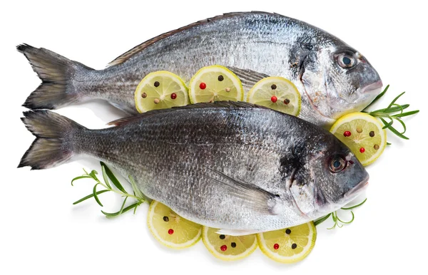 Dorada ψάρια με λεμόνι — Φωτογραφία Αρχείου