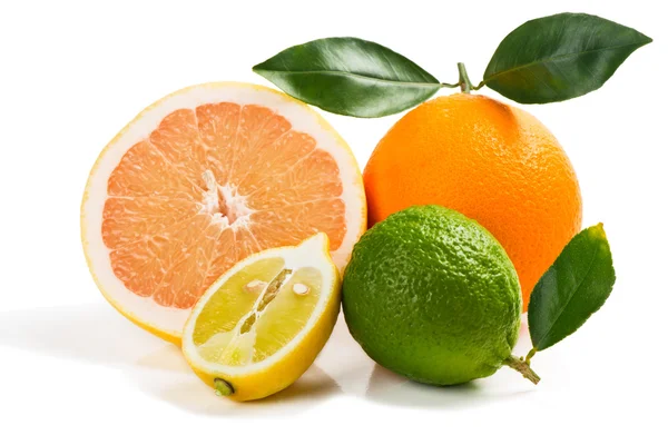 Diverse citrusfrukter — Stockfoto