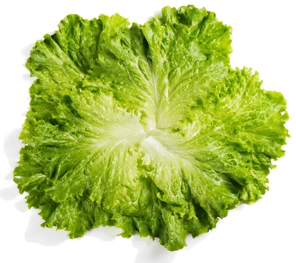 Some fresh leaves of lettuce, above view — Stock Photo, Image