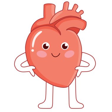 Sağlıklı bir anatomik kalp. Sevimli karikatür anatomik kalp.