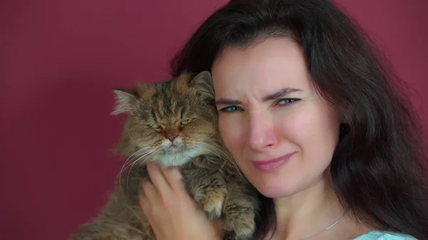 A cat with an angry funny face in the arms of a young beautiful mistress. The hostess parodies the evil face of her cat.