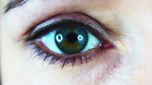 Green Blue Female Eye Close Macro — Stock Photo, Image