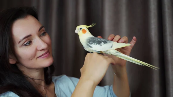 Jovem Com Seu Papagaio Corella Sua Mão — Fotografia de Stock