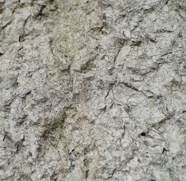 Kumaşın dokusu ve arkaplanı. Duvardaki sivilcelerde benzersiz bir çimento dokusu var..