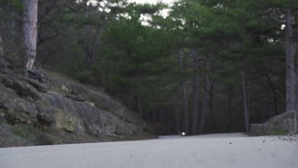 Водитель в защитном шлеме и мощном электроскутере едет по лесной дороге. Человек на электрическом скутере в лесу на бетонной дороге быстро мчится мимо камеры — стоковое видео