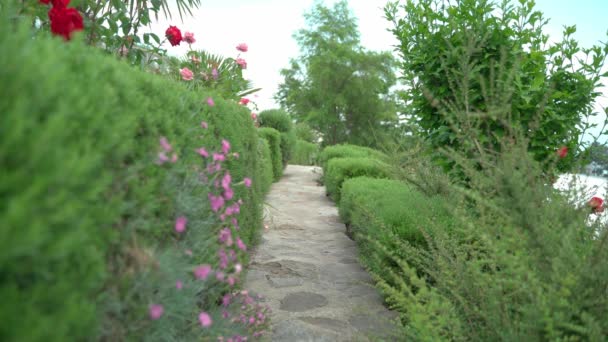 Video para el fondo de un camino de piedra y en los lados de los espacios verdes, un hermoso callejón — Vídeo de stock