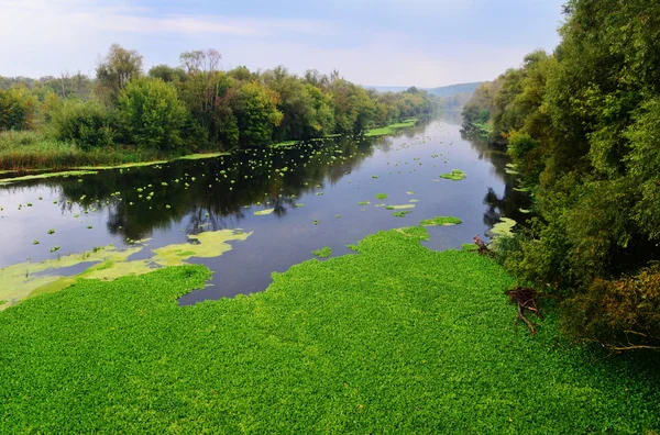 Rio, cenário lindo e fabuloso. Rio Seversky Donets na região de Kharkiv, Ucrânia Imagens Royalty-Free