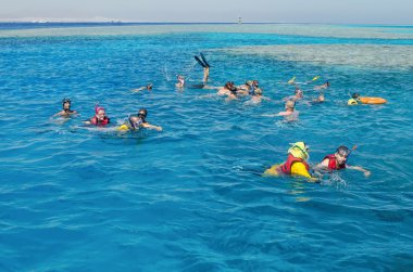 Dalış. İnsanlar aktif olarak sakin ol, Red Sea'deki/daki yüzmek. Etkinlik, yüzme, su manzara. Sharm El - Sheikh, Mısır. Sina - 02 Ekim 2013