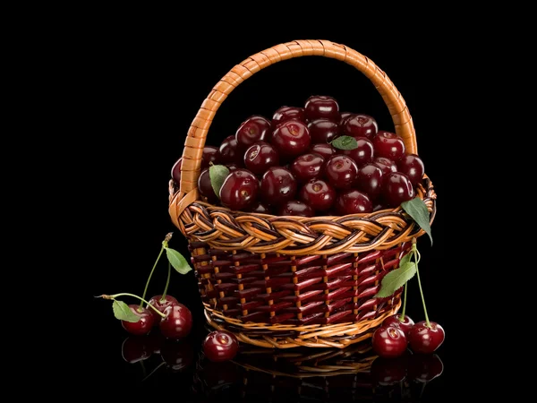 Cerises dans un panier — Photo