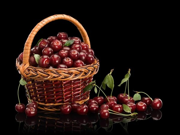 Velká úroda cherry — Stock fotografie