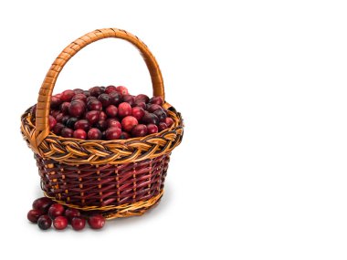 Yaban mersinli çubuk sarmaşık sepeti beyazın üzerinde izole edilmiş.