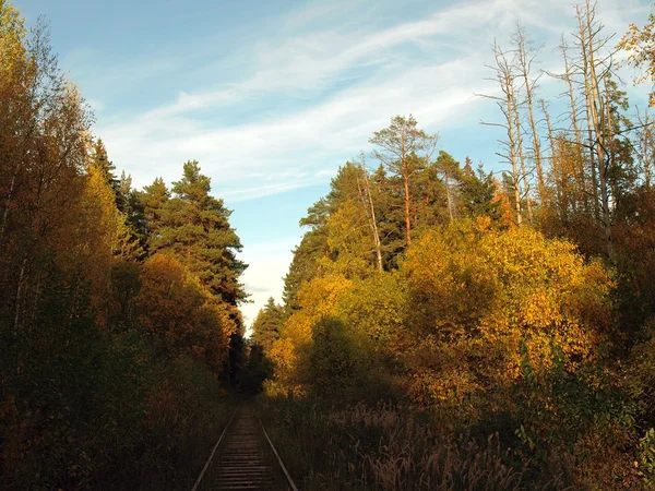 De oude spoorweg — Stockfoto