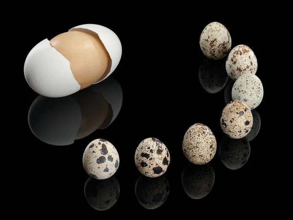 Siete huevos de codorniz y un huevo de madera — Foto de Stock