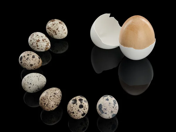 Seven quail eggs and one wooden egg — Stock Photo, Image