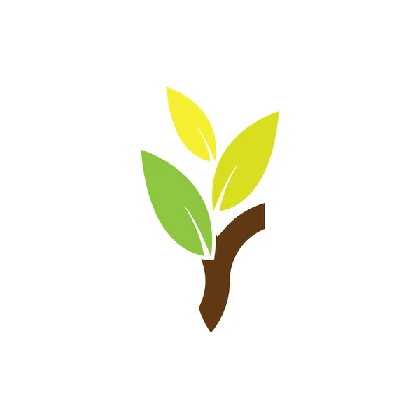 Lettera Con Logo Foglia Vettoriale Progettazione — Vettoriale Stock