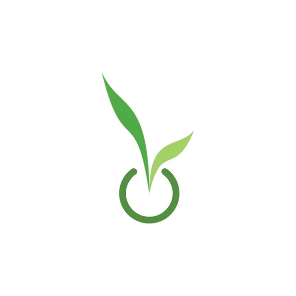Crescere Seme Logo Vettoriale Progettazione — Vettoriale Stock