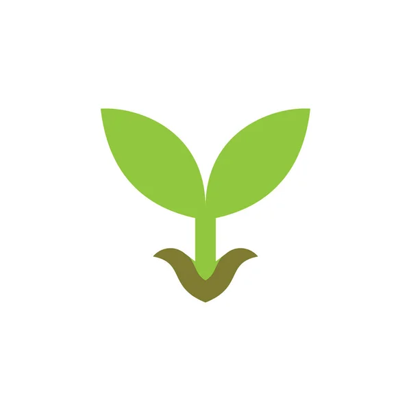生长种子标志设计向量 — 图库矢量图片