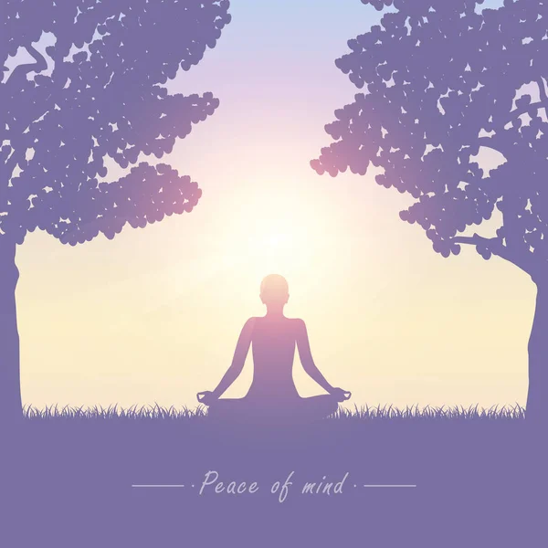 Persona meditando en el prado de verano al sol — Vector de stock