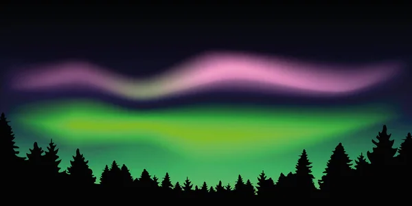 Aurora borealis krásná polární světla v lese — Stockový vektor