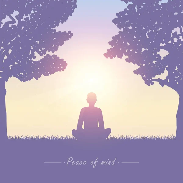 Meditierende Person auf Sommerwiese bei Sonnenschein — Stockvektor