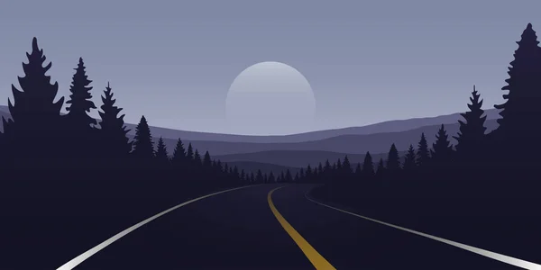 Route asphaltée dans la forêt et les montagnes la nuit — Image vectorielle