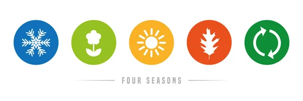 Fyra säsonger vinter vår sommar höst ikon set — Stock vektor