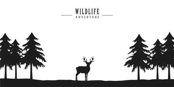 森の中の野生動物冒険鹿 — ストックベクタ