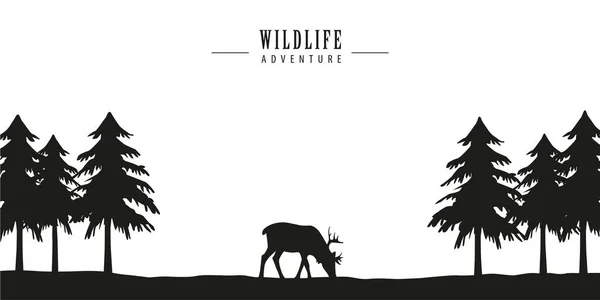 Wildlife adventure deer in forest — Stock Vector