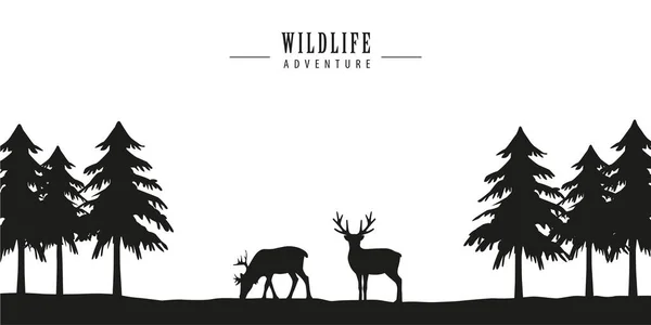 Ciervos aventura de vida silvestre en el bosque — Vector de stock