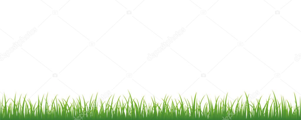 green meadow on white background with copy space
