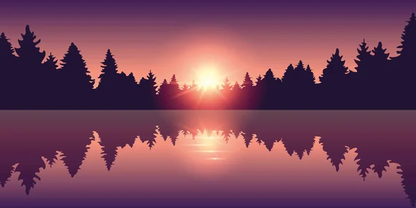 Красивое озеро на восходе солнца сосновый лес — стоковый вектор