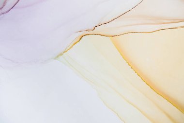 Tasarım kapağı, poster ve broşür için geçerli olan sanatsal arka plan. Modern sanat. Mermer dokusu. Doğal desen. Mürekkep renkleri inanılmaz derecede parlak. Alkol mürekkebi deniz dokusu. Çağdaş sanat.