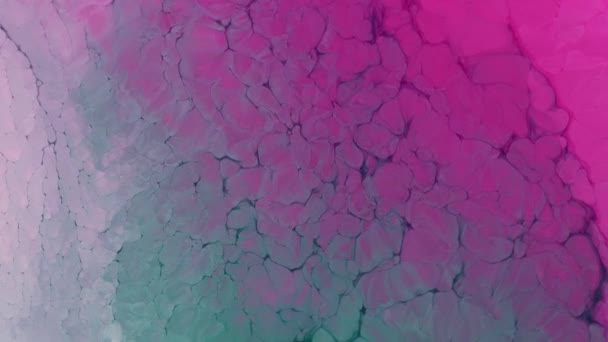 Color Flow From Top to Bottom. abstract backdrop. Beautiful metallic green, pink, blue texture paint close-up. Liquid slow motion Art. Colorful Chaos Turbulence. — Stock Video