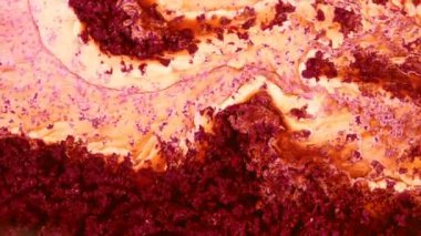 Dalgalanan parıltılı yüzey. Akan Altın soyut zemin. Güzel metalik desenli boya yakın plan. Sıvı ağır çekim sanatı. Renkli Kaos Türbülansı. 