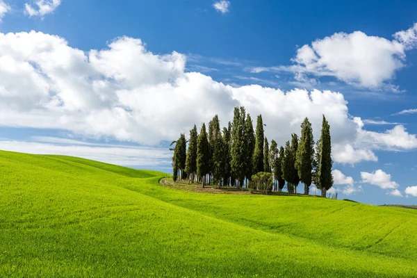 Hermoso paisaje en Toscana — Foto de Stock