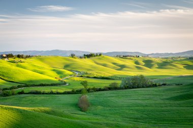 Tuscany'de manzara haddeleme