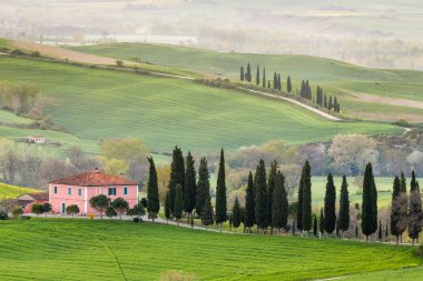 Yeşil Tuscan kırsal
