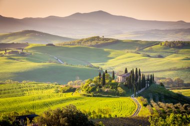 Peaceful morning in Tuscany clipart