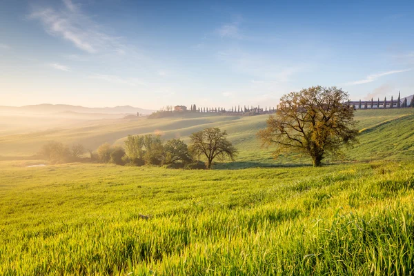 Beautiful morning in Tuscany — Stock Photo, Image