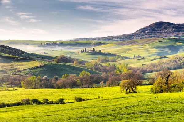 Colori primavera toscani — Foto Stock