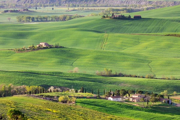 Glooiende landschap, Tuscany — Stockfoto