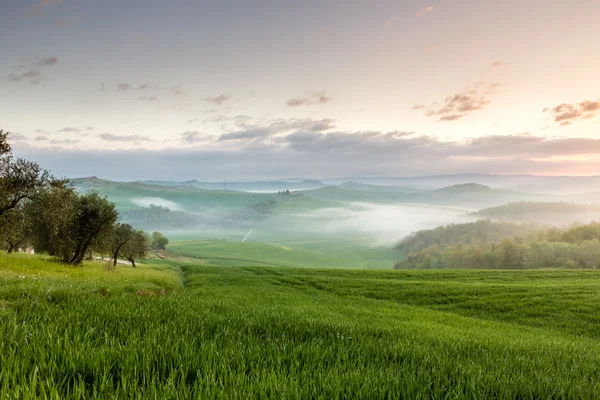 Dawn in countryside — Stock Photo, Image