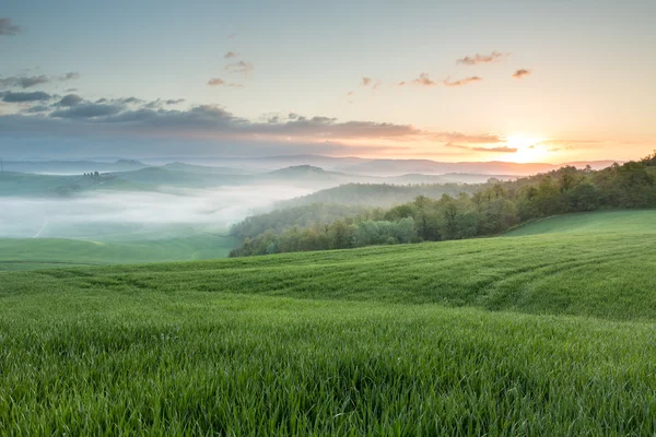 Morning in Crete Senesi — Stock Photo, Image