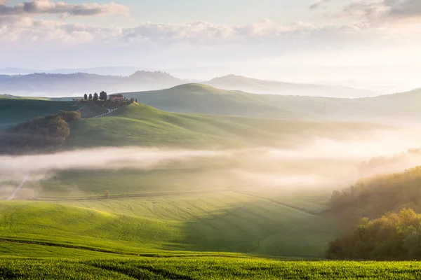 Misty Sunrise in Toscana — Foto Stock